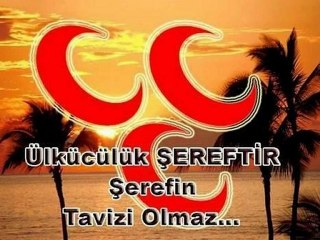 VUR BOZKURTUM TİLKİYE KURTULSUN TÜRKİYE ALİ REİS