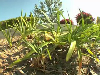 5 Trick Fix: Osiris 'Never Gets Old'