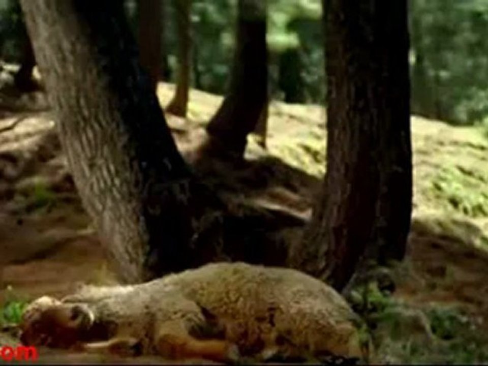 Sikandar 2009_clip1