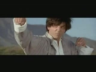 (Humor)KungFu-Kuh_Matrix