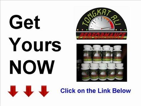 Body Building Supplements Steroids Testosterone