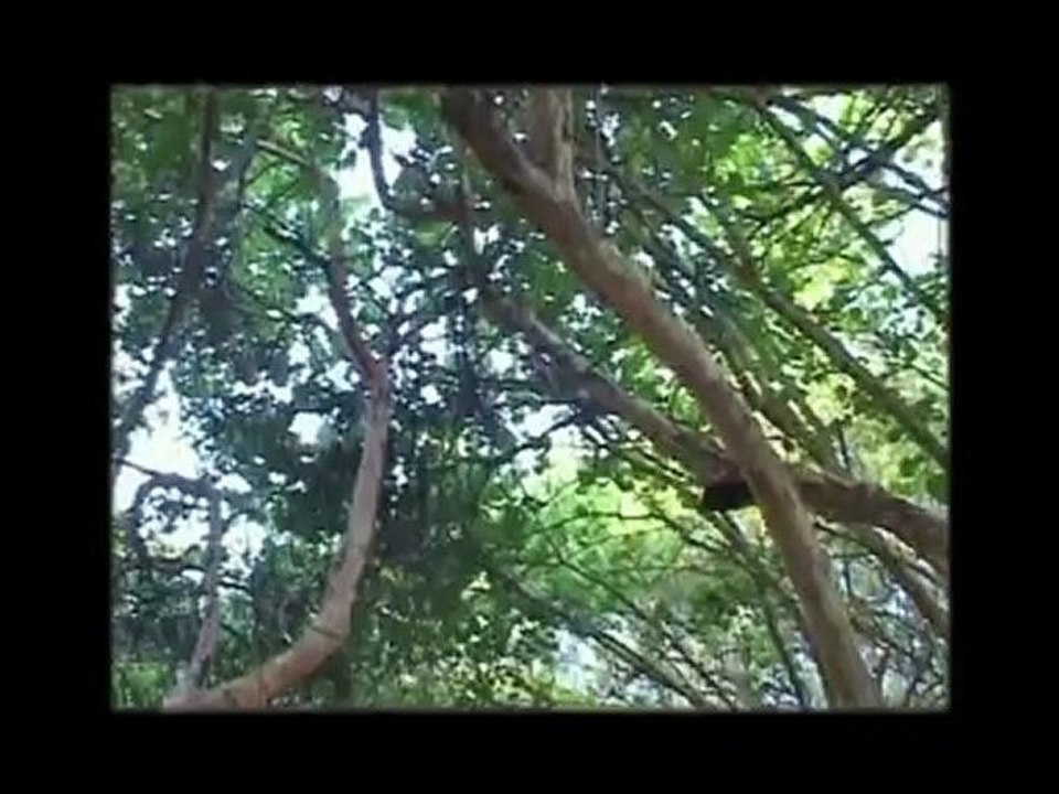HABDAPHAI