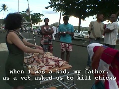 Triny PRADA / Les poulets ne sont pas armés