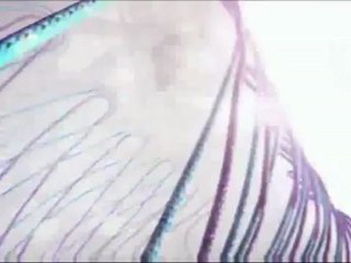 Nike Hyperdunk 2012+ Plus Tanıtım