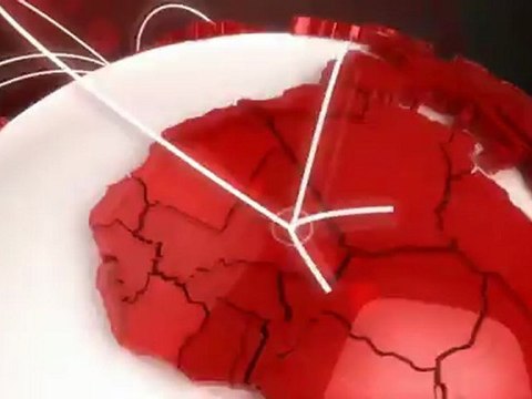 Entrevista Lic. Carlos Peredo Grau Coalición de Mercados