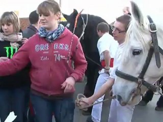 foire aux poulains 2012 à wittes
