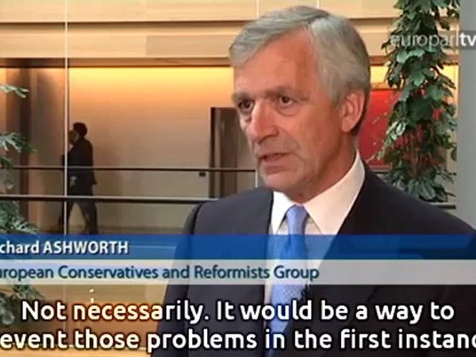 Interview: Banking union - a cure for the crisis?