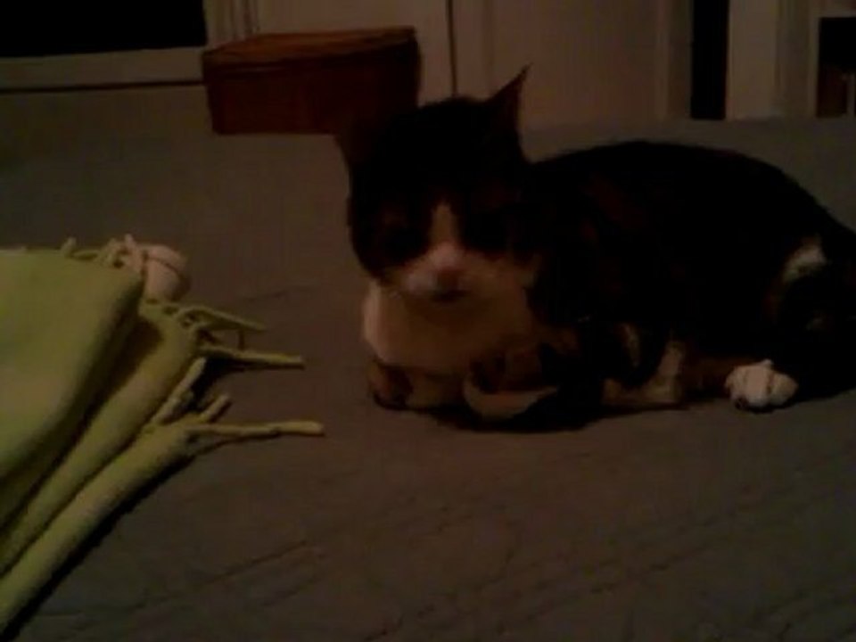 VIDEO0028