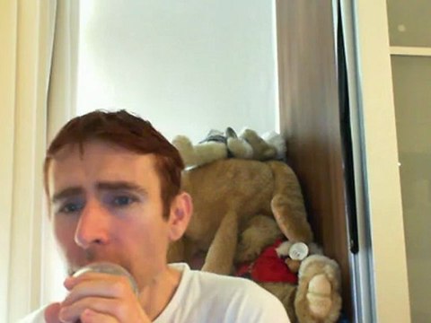 Wiwi égratigne wild wood de Paul Weller