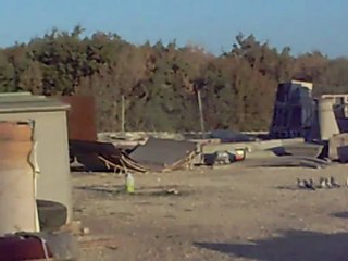 GÖK BIYIKLI DİŞİ YAVRU İNİŞ