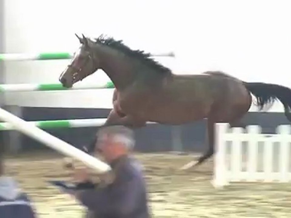 Selections ventes Fences 2012