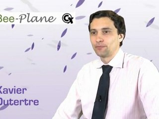 RRI 2012 - Bee Plane - Xavier Dutertre