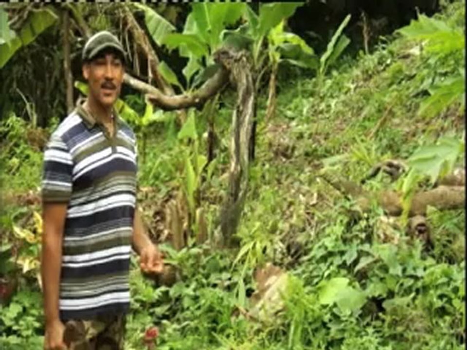 Max, une autre vie en pays Kalinago