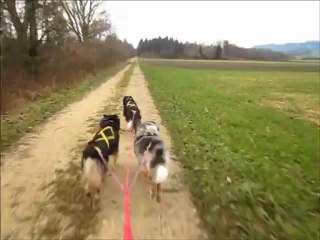 Entr. trott 13.11.12