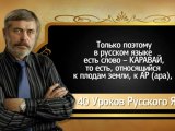 Сергей Алексеев 40 уроков Русского Языка Хлеб