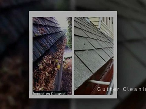 Portland Moss Removal and Portland Gutter Cleaning - PDX Clean King