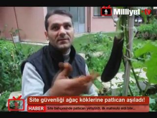 Ramazan Koca 'Çekirge' yine ulusal basında!