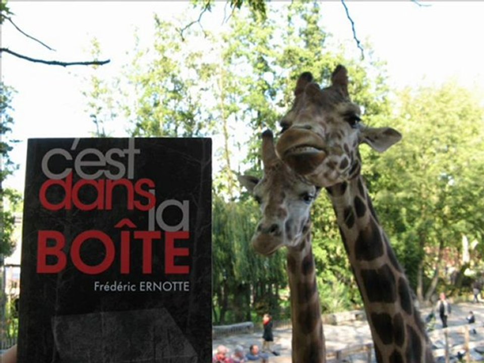C'est dans la boîte et VOUS !