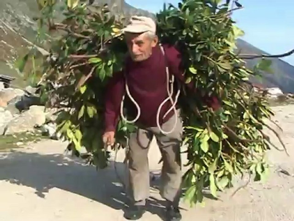 memedalı horon oynar