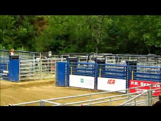 Gymkhana 2012 - Daisy Hollywood