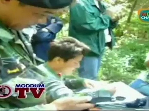 มดดำออนทีวี131112