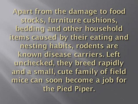 Owners and Tenants Benefit from Regular Pest Treatments on Rental Properties