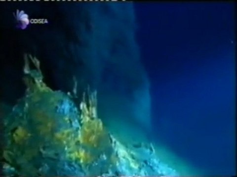 Fuentes hidrotermales: Organismos extremofilos