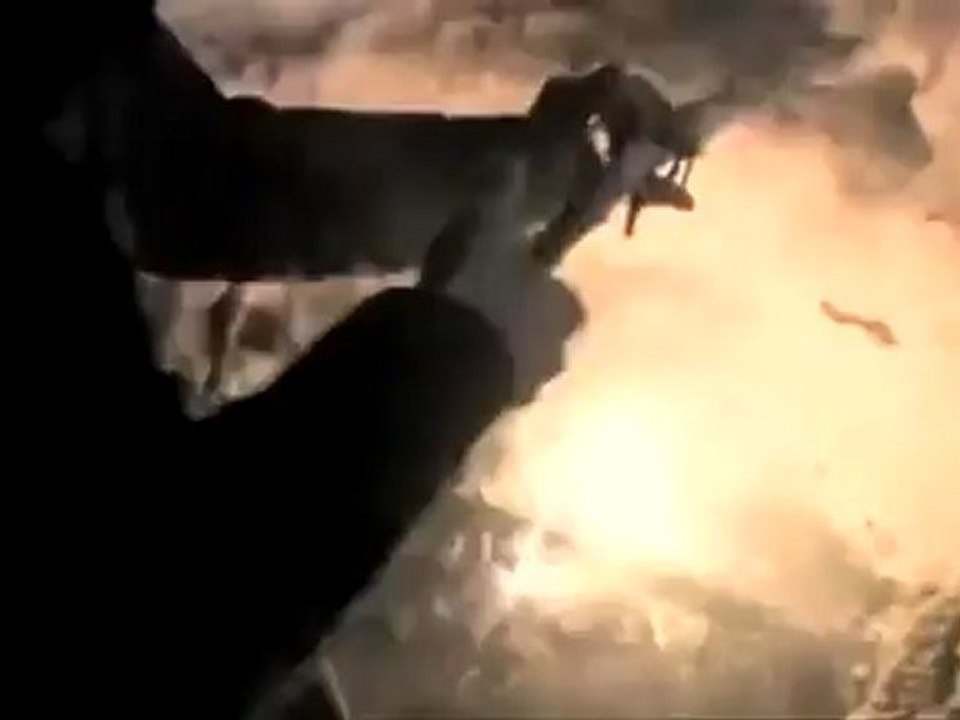 Doğal Yaşam Belgesel Serisi - İçimdeki Doğa Bölüm 3