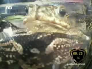 Fear Factor Extreme Fox Tv | 8 Kasım 2012 | 6. Kısım