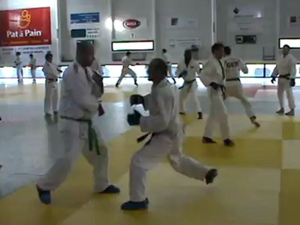 Jujitsu Rollin Philippe