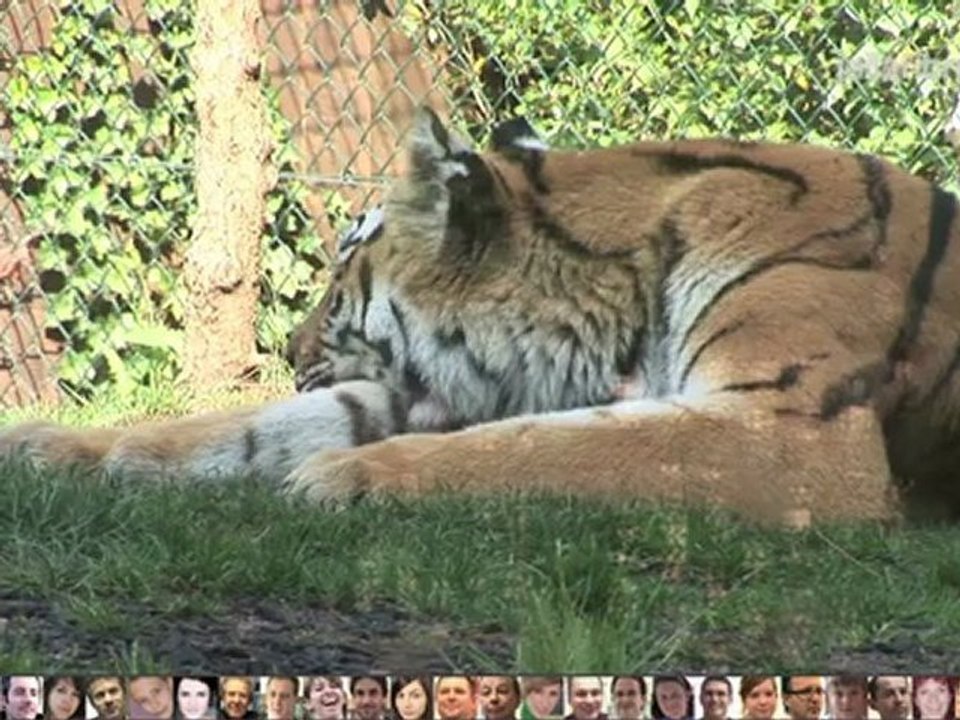 J’ai la fibre – Mes initiatives  - La fibre optique pour le zoo d’Amneville