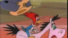 CIOCANITOAREA WOODY - Colectie, traduse