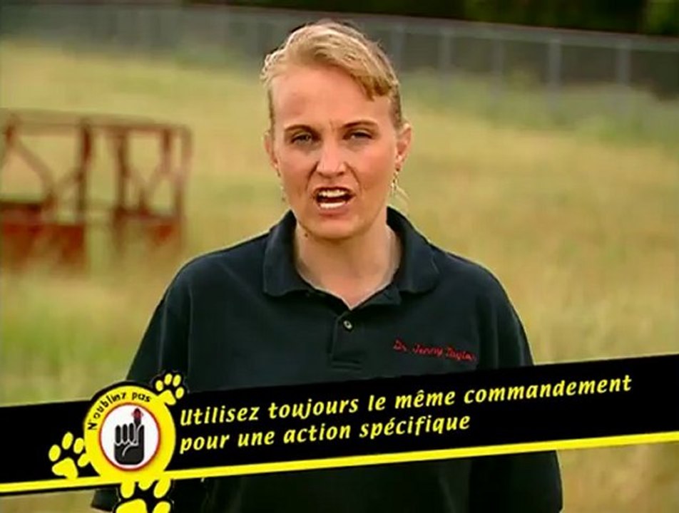 Comment dresser son chien