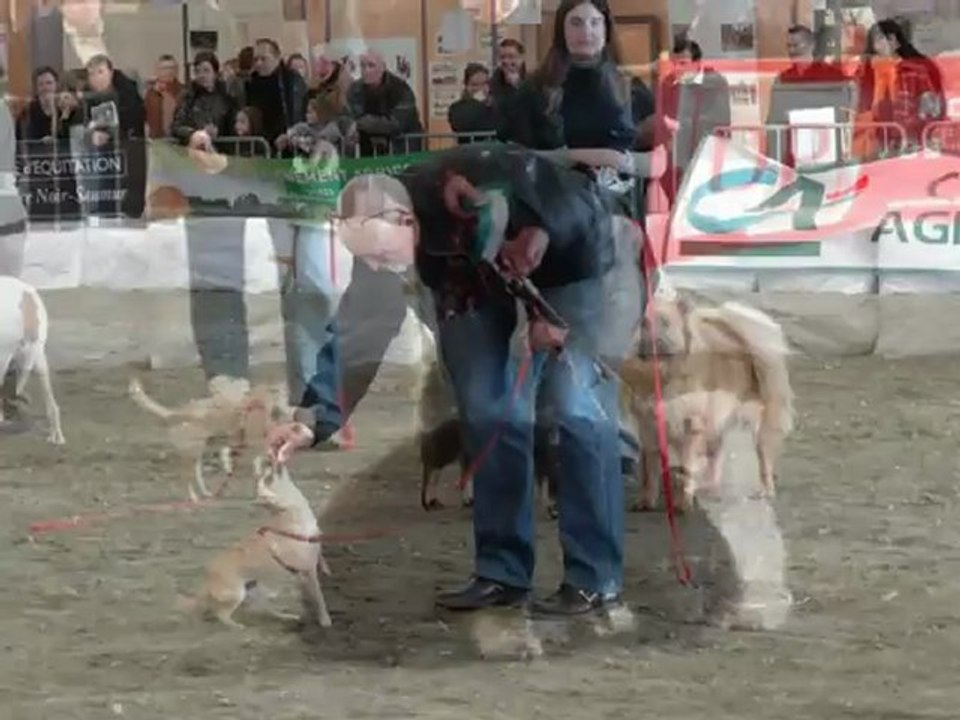 Ferme expo Tours 11-2012