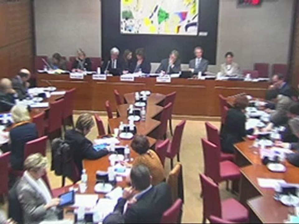 Commission des affaires culturelles : examen pour avis et vote des crédits de la mission Médias, livre et industries culturelles