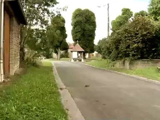 Flying Dreams: 9 Films on Aerial Sports ✈️