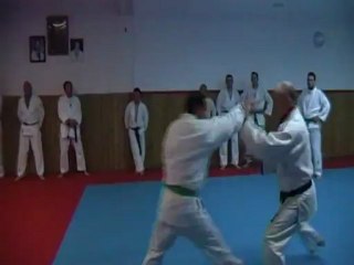 Jujitsu Rollin Philippe