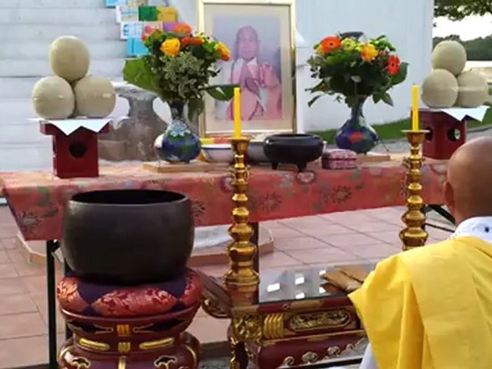 WIENER FRIEDENS- BEWEGUNG