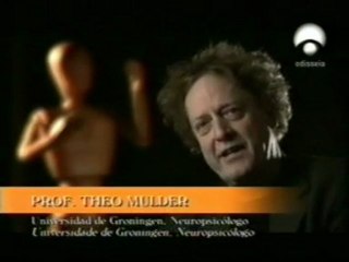 Envejecimiento: Caidas por interferencia cognitiva (Theo Mulder)