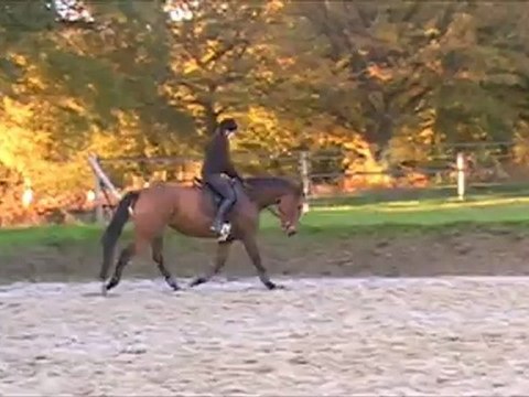 Ursel Saint-Clair (séance du 11 novembre 2012)