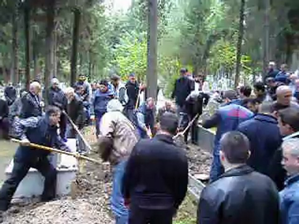 MOV00941