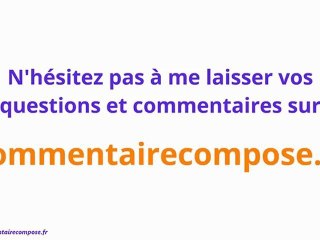 La Princesse de Clèves : analyse pour le bac de français