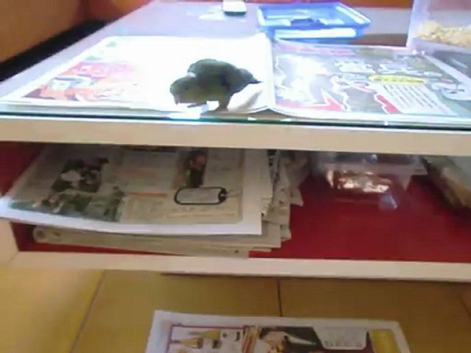 First Flight！Hulu in Day11