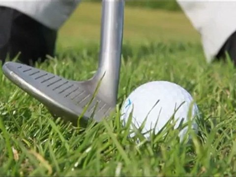 Love Your Clubs Wedges - Bellied wedge