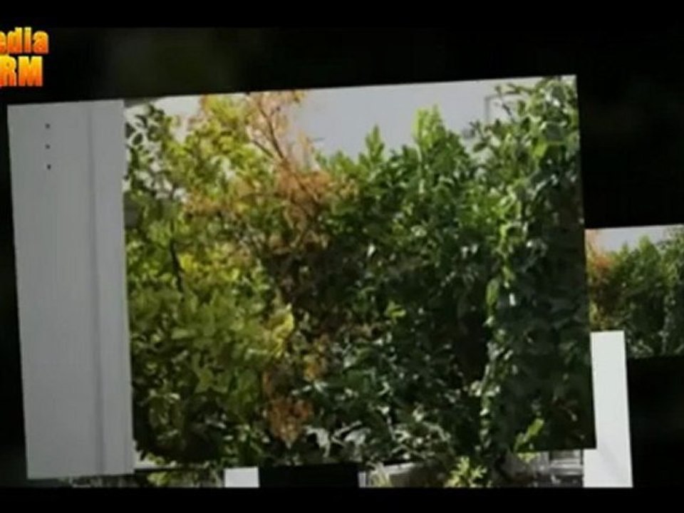 Anwesen nahe des Athener Flughafens zu verkaufen | Grundstücke Attika