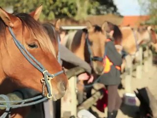 Interview de Dominique Cocquet du Centre Equestre Henson Marquenterre