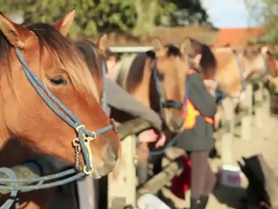 Interview de Dominique Cocquet du Centre Equestre Henson Marquenterre