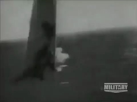 Wings of the Luftwaffe - Ju-87 Stuka(360p_H.264-AAC)