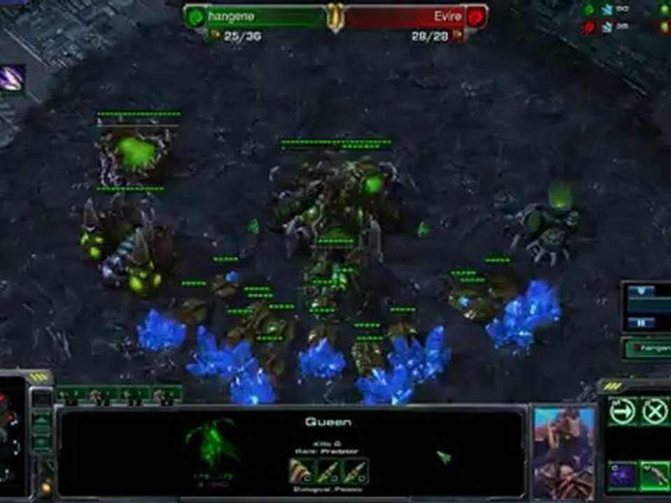 ZvZ speedling all in execution