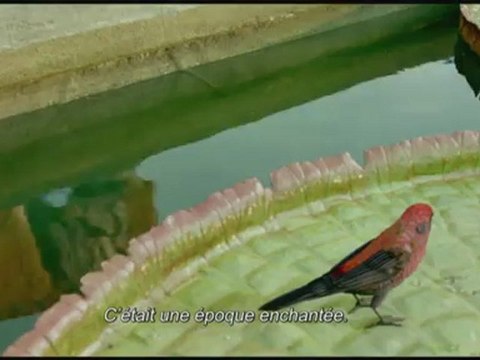 L'ODYSSEE DE PI - Bande-annonce VO